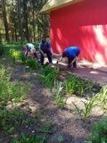 IMG_20260528_081353_493